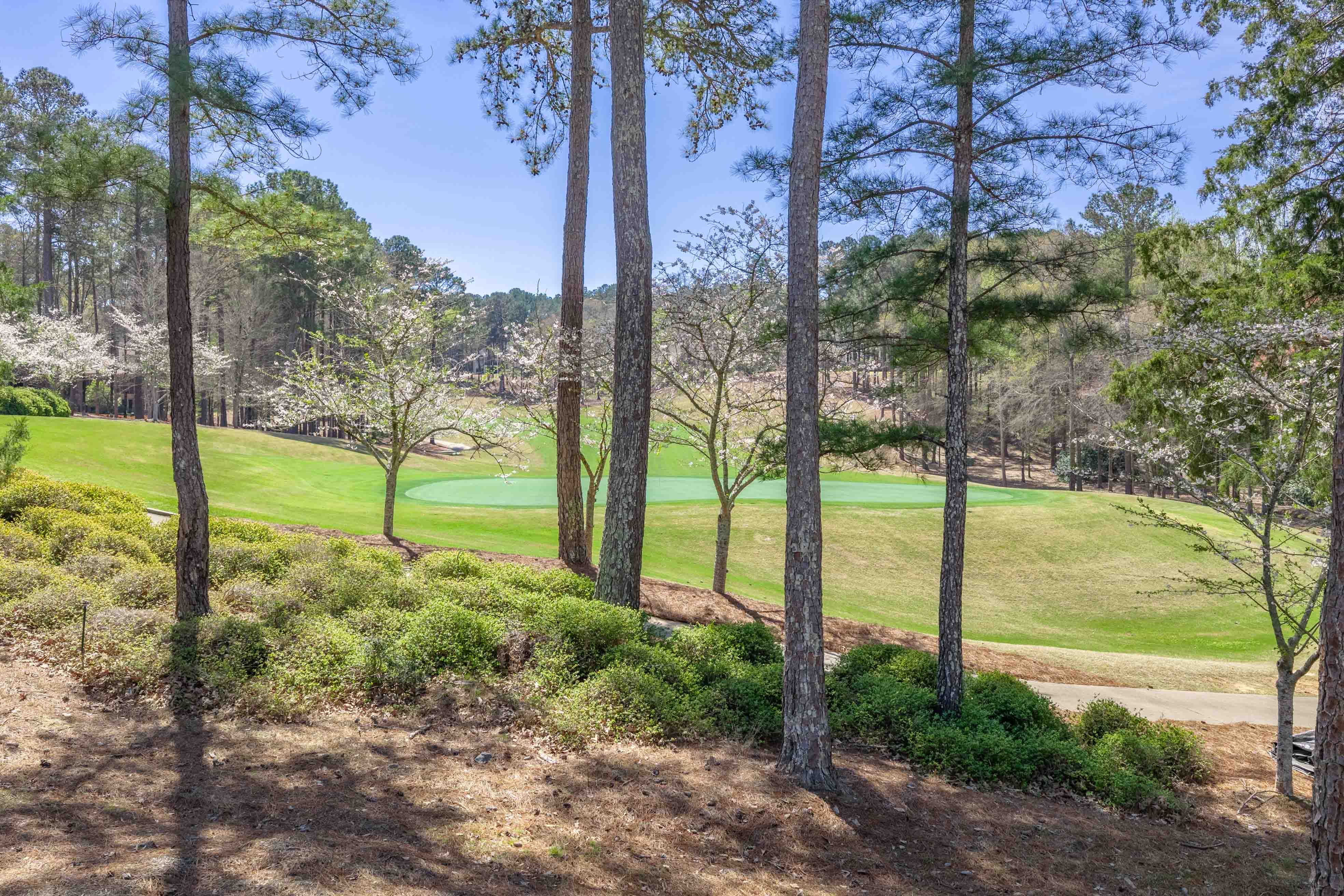 1100 Fox Bend image 61